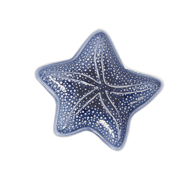 Estrela Marinha